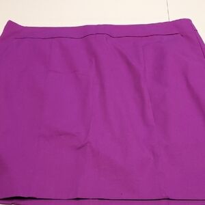 Ann Taylor Madison Skirt Sz 12P Like new